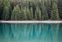 10 of the main causes of back and neck pain